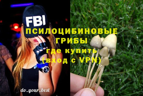 метадон Армянск