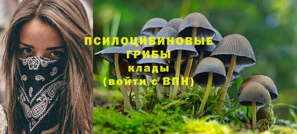 метадон Армянск